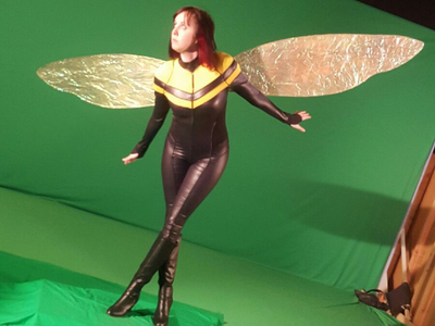 This is an original design of the character Wasp from Marvel Comics, modeled by Jes Reaves. 	
