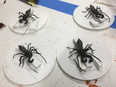 These are the edible, life sized, whipped-tail scorpion replicas that we created for the movie Alpha. 	