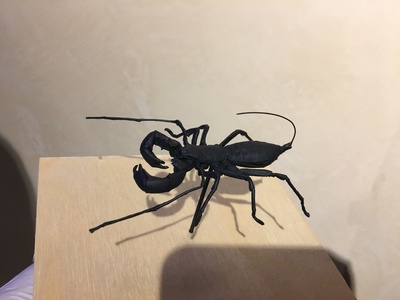 This is the  life sized, whipped-tail scorpion replica that we created for the movie Alpha. 	